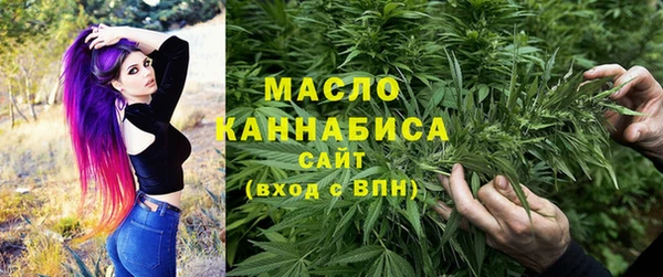индика Корсаков