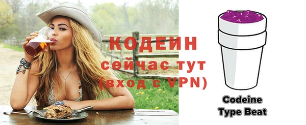 индика Корсаков
