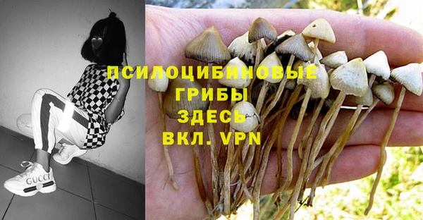 MDMA Premium VHQ Коряжма