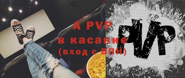 индика Корсаков