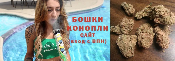 индика Корсаков