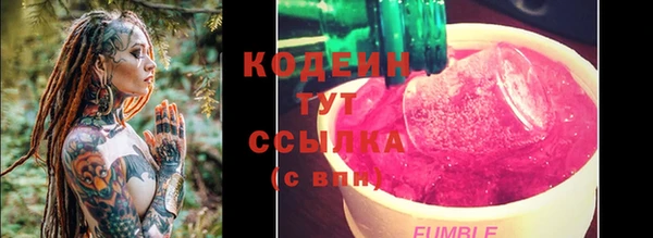 индика Корсаков