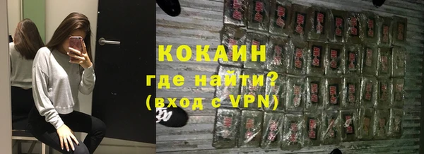 индика Корсаков