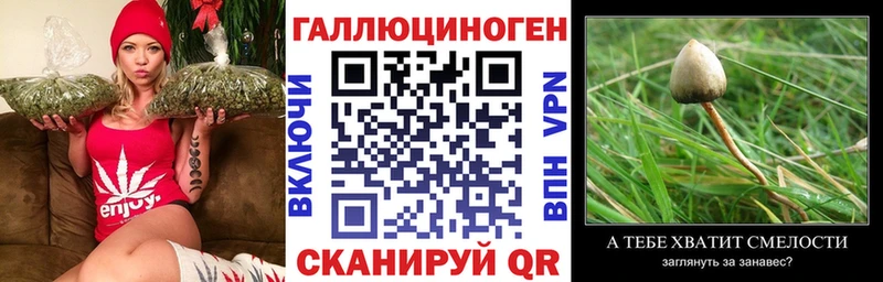 Купить закладки  Белая Калитва  Галлюциногенные грибы Cubensis 